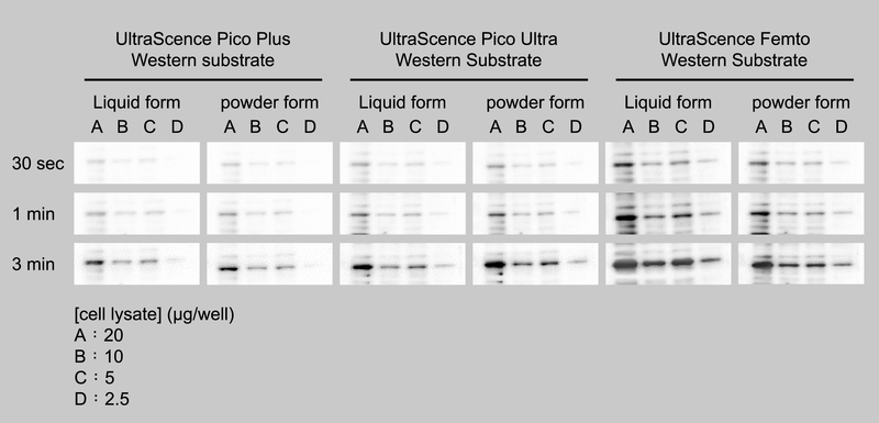 Compare Bio-Helix Liquid form & Powder form ECL performance. 
