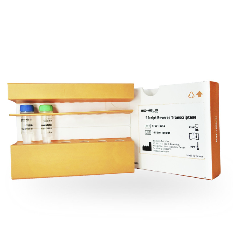 MMLV High Performance Reverse Transcriptase Kit